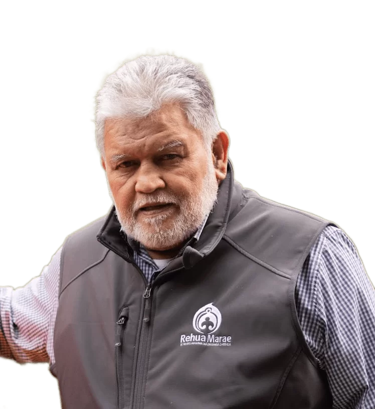 banner image